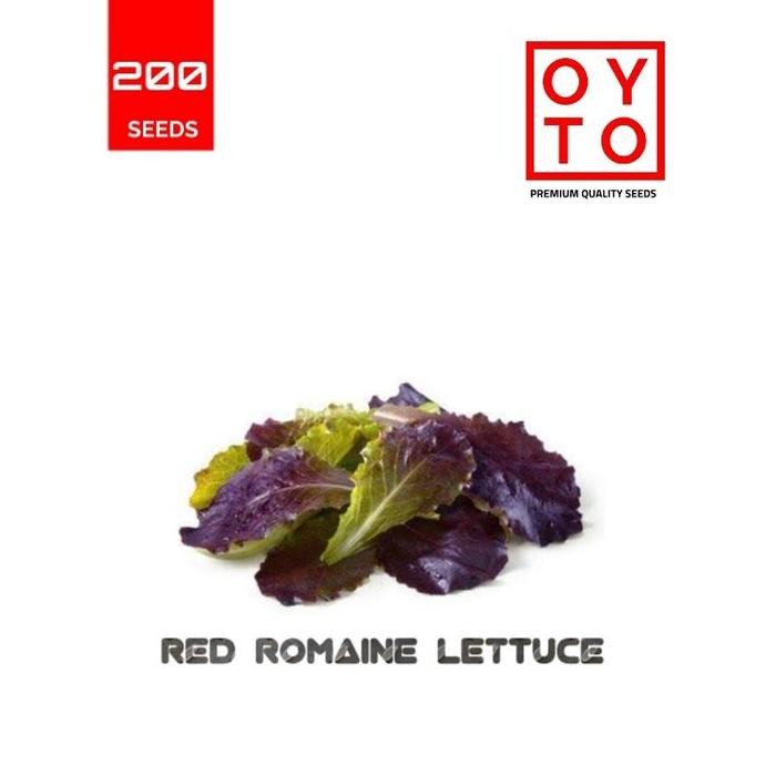 

SELADA RED ROMAINE BIBIT TANAMAN HOPONIK ISTIMEWA