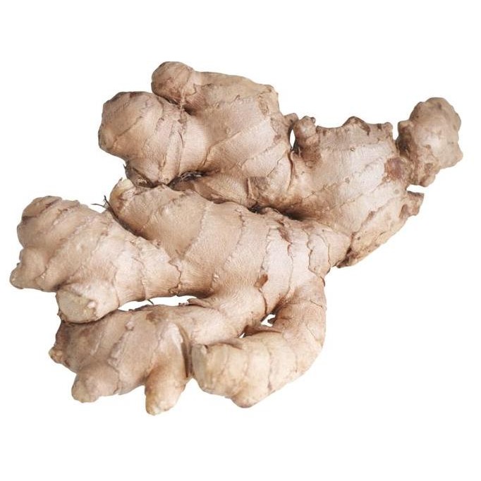 

Diskon! Jahe Gajah Segar 1Kg - Jahe Gajah Fresh Untuk Wedang & Masakan