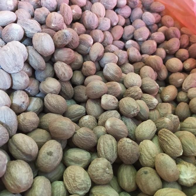 

Diskon! Biji Pala Bulat Utuh 1Kg Nutmeg Whole Fresh Rempah Asli Untuk Masakan Dan Jamu