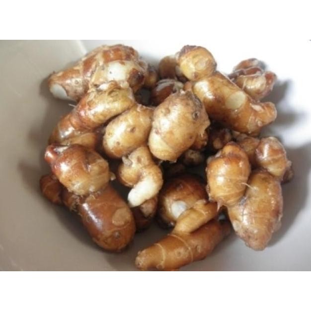 

Diskon! Kencur Segar 1Kg / Kencur Fresh / Cikur Mentah Asli