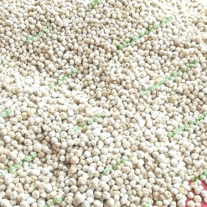 

Diskon! Kapulaga Putih Premium 500Gr - Kapol Putih Utuh Rempah