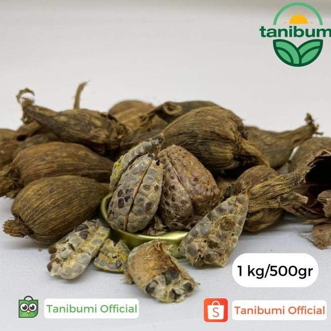 

Diskon! Kapulaga Hitam Premium 500Gr/1Kg | Black Cardamom Import Tsaoko
