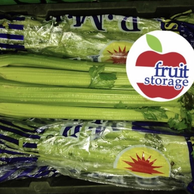 

Celery stick / seledri batangan / stalk batang 1kg kiloan kg aSt