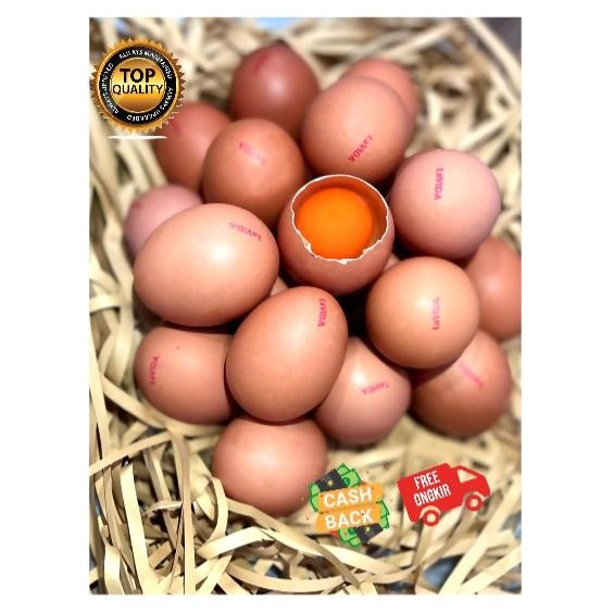 

Telur LaVIDA Omega 3 ASLI Bukan Suntikan- 30 Butir/1 Tray aSt