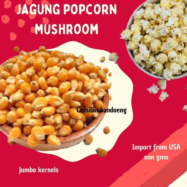 

Jagung popcorn Mushroom kemasan 1 kg aSt