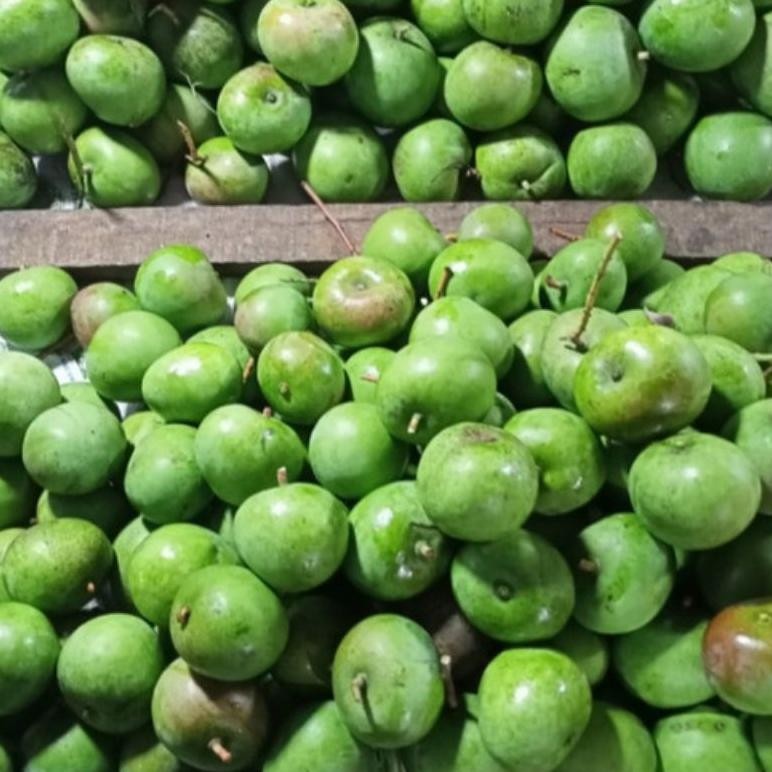 

Mangga Apel Muda 1kg Buat Rujak/Ibu Hamil aSt
