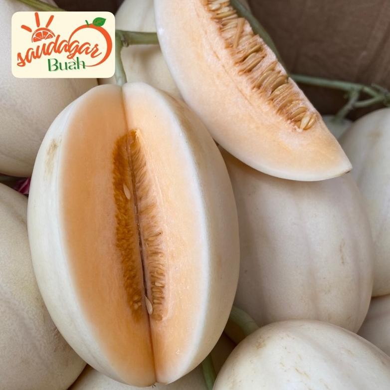 

BUAH MELON SWEET NET HIDROPONIK MANIS CRUNCHY aSt