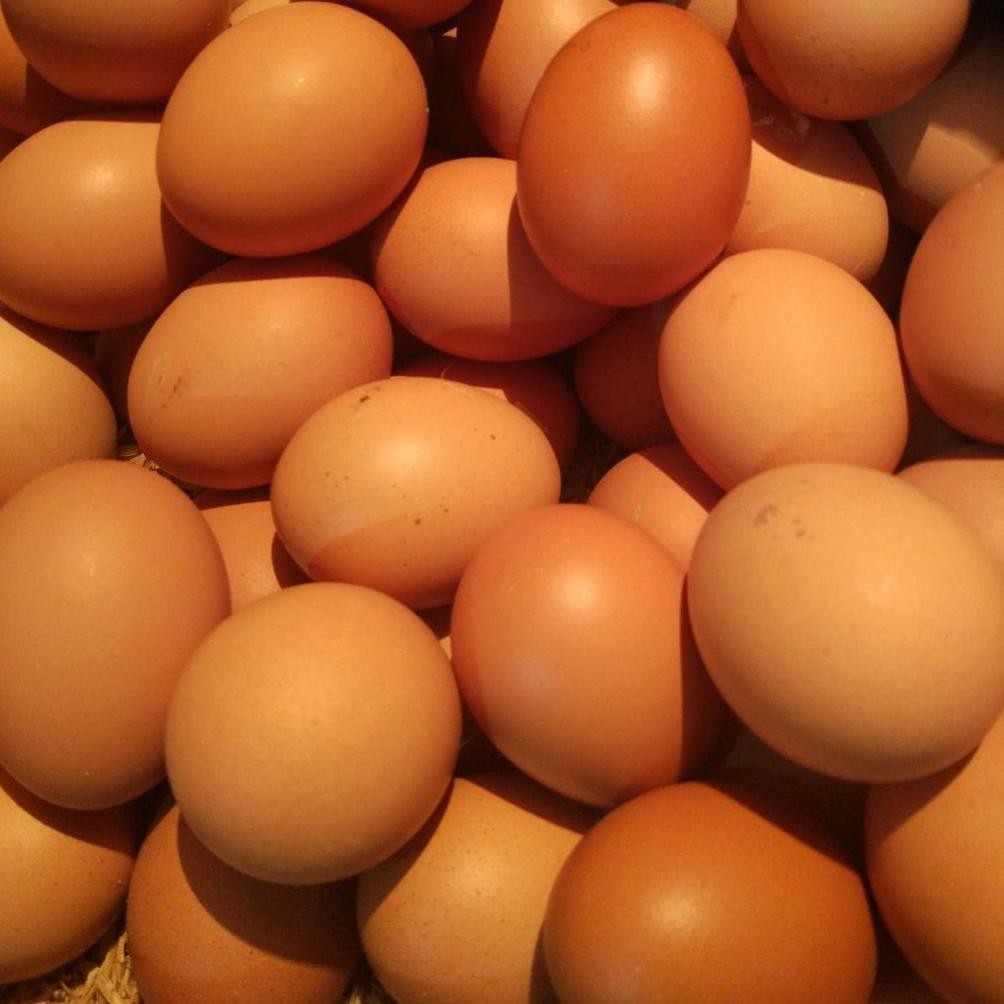 

Telor Ayam Negeri Telur 1Kg aSt