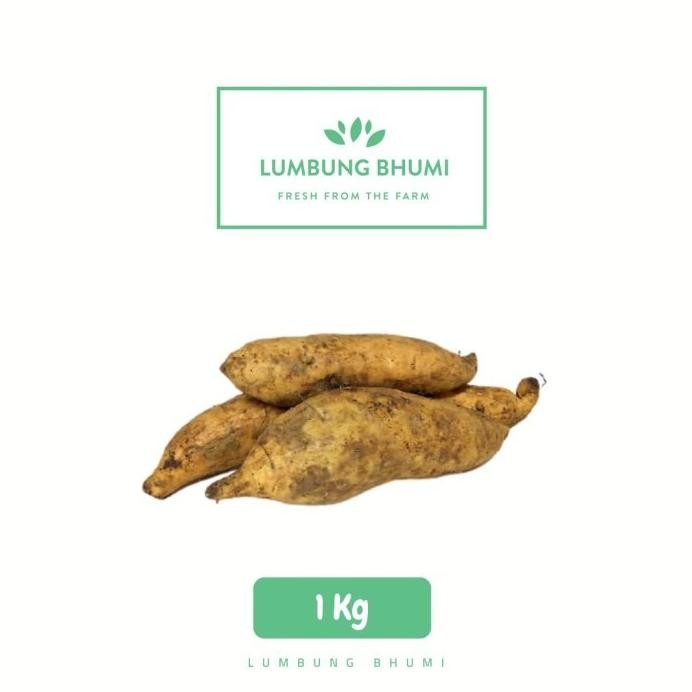 

Lumbung Bhumi - Ubi Madu Cilembu 1 Kg ( Sayur Curah ) aSt