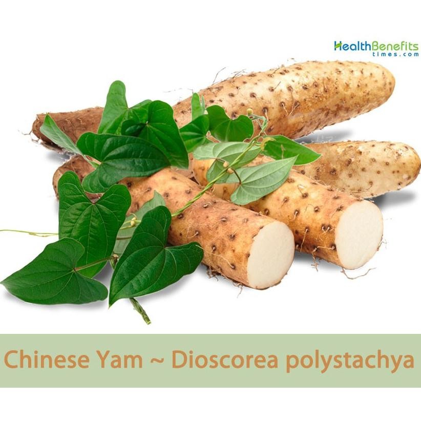 

Sayur Segar Ubi Talas Chinese Yam Huai San Nagaimo Yam 250 gr aSt