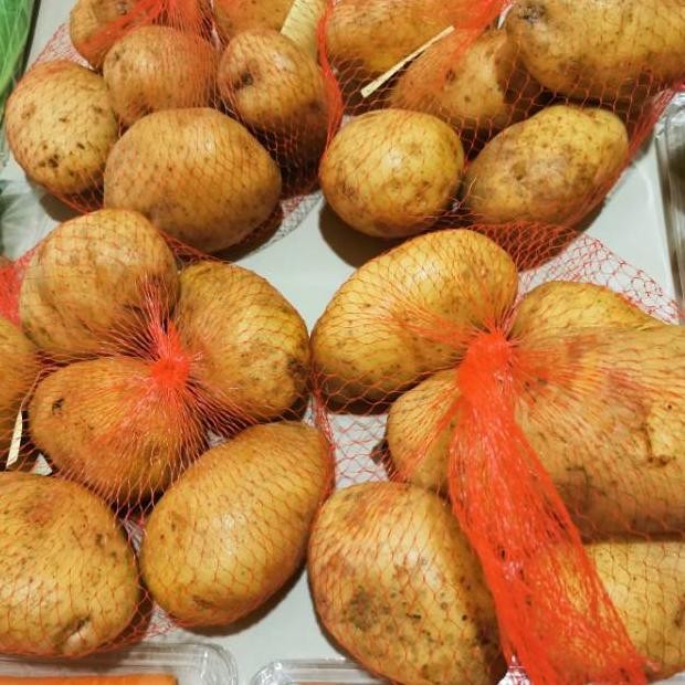 

Kentang Organik || 1000gram 1Kg || Potato Organic aSt