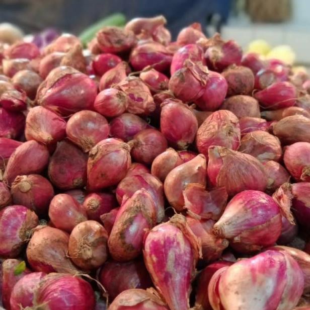 

Bawang Merah 1 Kg aSt