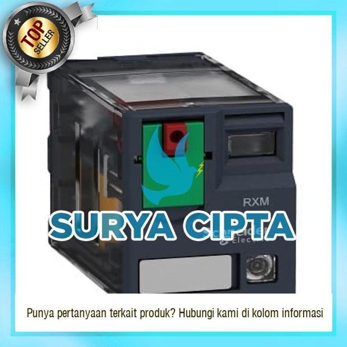 Schneider Plug In Relay Rxm 14 Pin 4 No 4 Nc 6A Led Rxm4Ab2P7 + Socket Termurah