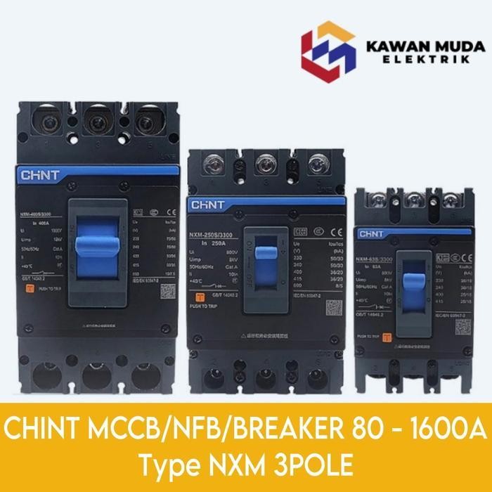 CHINT MCCB/NFB/BREAKER 3POLE 100A (25KA) Type NXM-125S/3P 100A