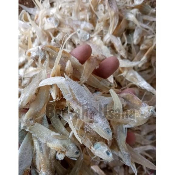 

Jz_12 Ikan Asin Bulu Ayam Kering 1Kg Murah Grosir Fx-76