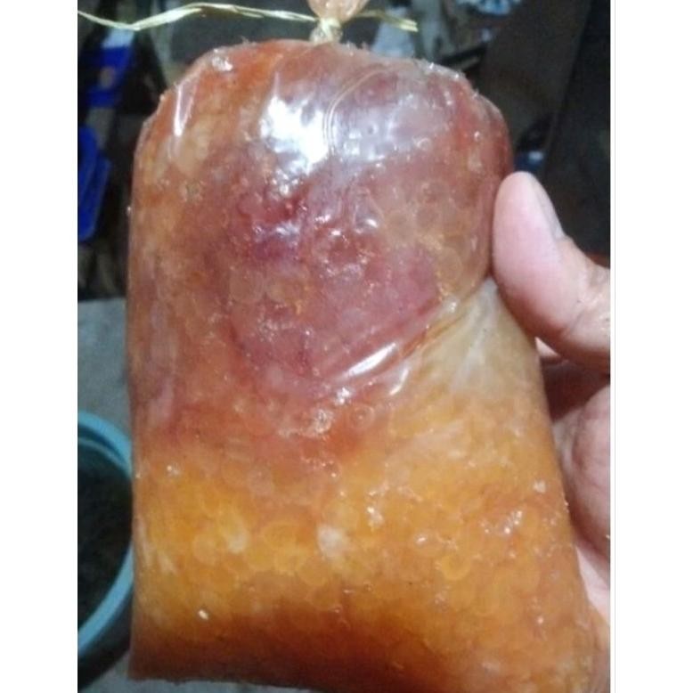 Terlaris Telur Ikan Sembilang 1Kg