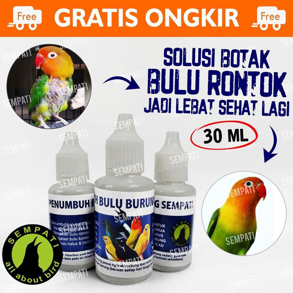 SEMPATI Obat Penumbuh Bulu Burung Sempati Obat Burung Bulu Rontok Patah Mabung Ngurak Moulting Lama 