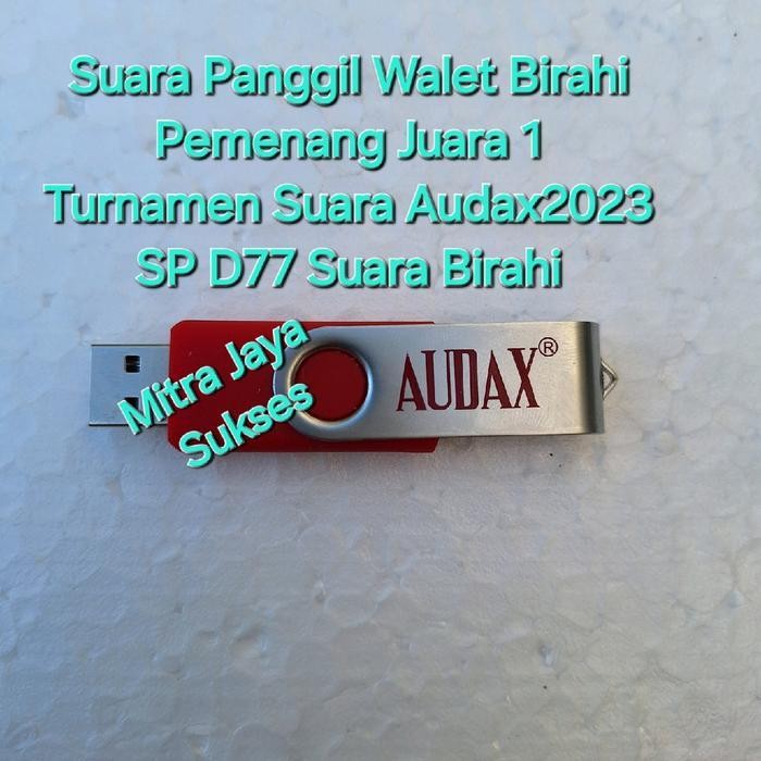 Suara Panggil Birahi Walet SP D77 Birahi Pemenang Juara 1 Turnamen Suara Audax 2023 Terbaru Berkuali