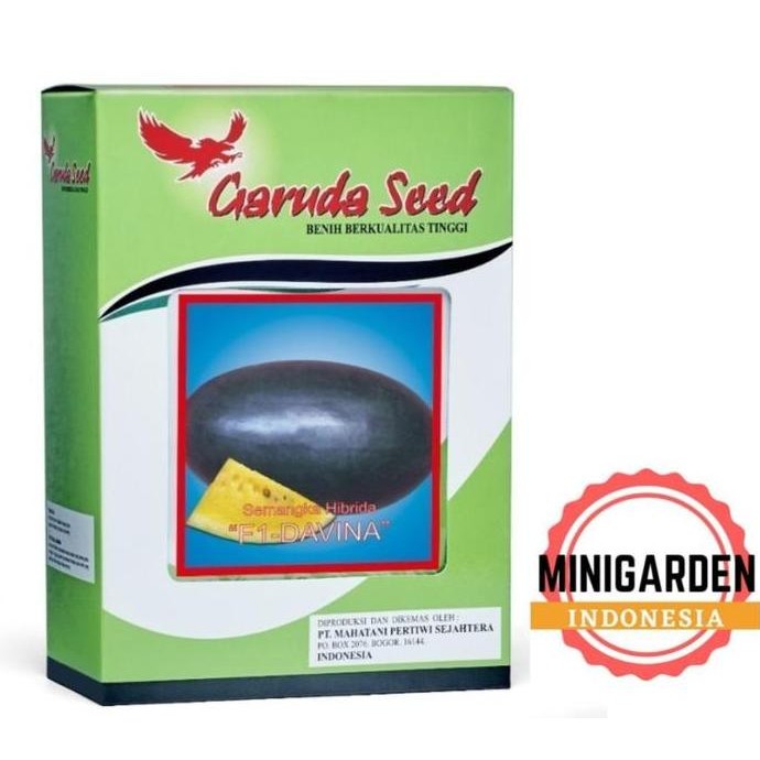 SEMANGKA INUL KUNING DAVINA 10 biji bibit buah semangka kuning PREMIUM