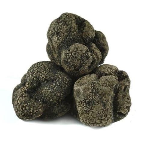 

Fresh Frozen Himalayan Truffle 50Gr Jamur Hitam Himalaya Kualitas Terbaik Harga Termurah
