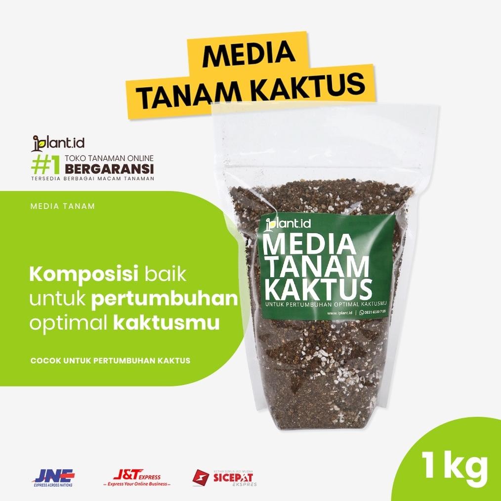 Media Tanam Kaktus iPlant  - Cocok untuk Sukulen, Lithops, Cactus, Kaktus Mini dan Kaktus dll MURAH