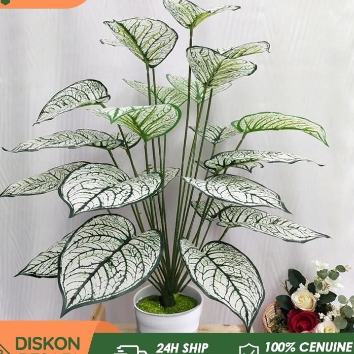 Daun Dekorasi Daun Aglonema Plastik Bunga Hias Plastik Daun Jumbo Bunga Sudut Rumah Bunga Hiasan Run