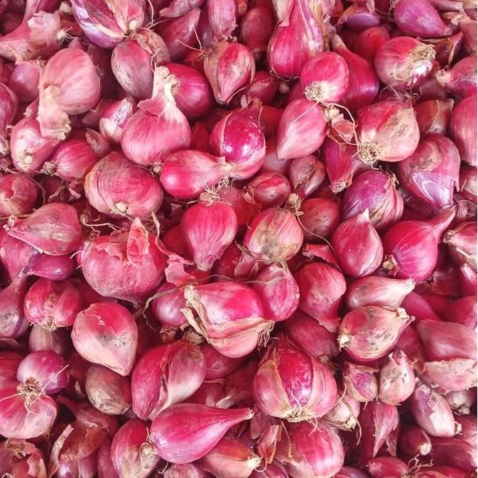 

bawang merah super fresh 1 kg,1/2kg,250 gram Garlic ms