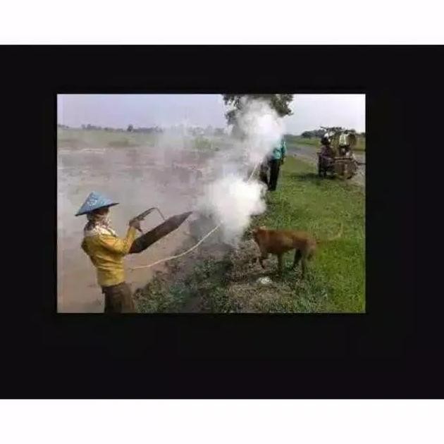 Emposan Tikus- Alat Fogging Tikus Disawah Kualitas Terbaik Harga Termurah