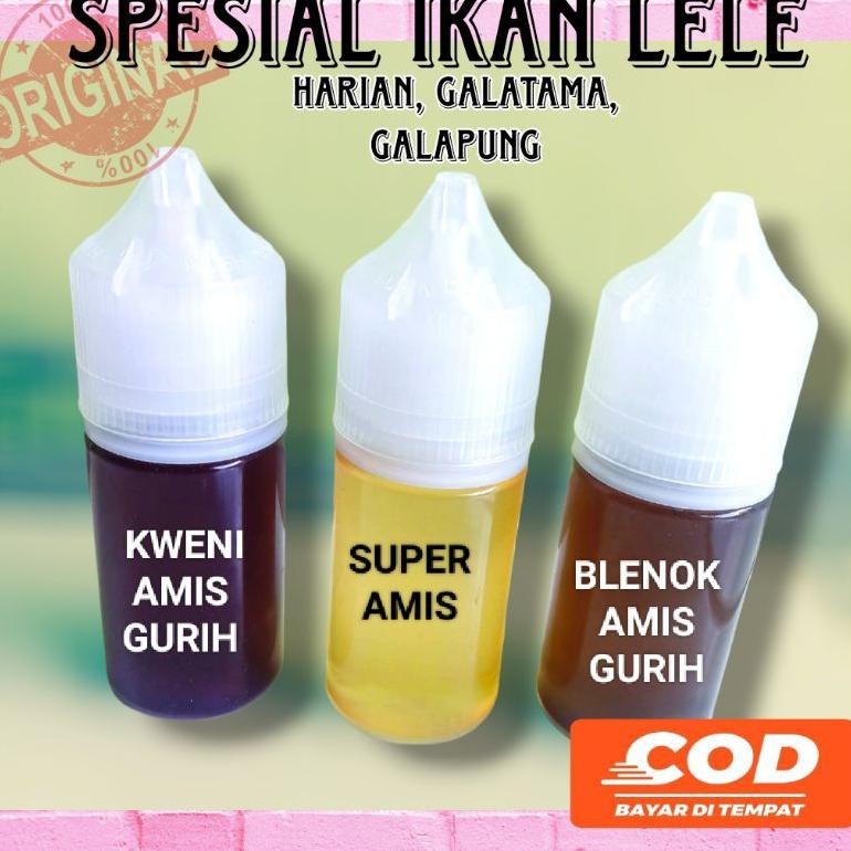 ESSEN OPLOSAN UNTUK GALATAMA LELE