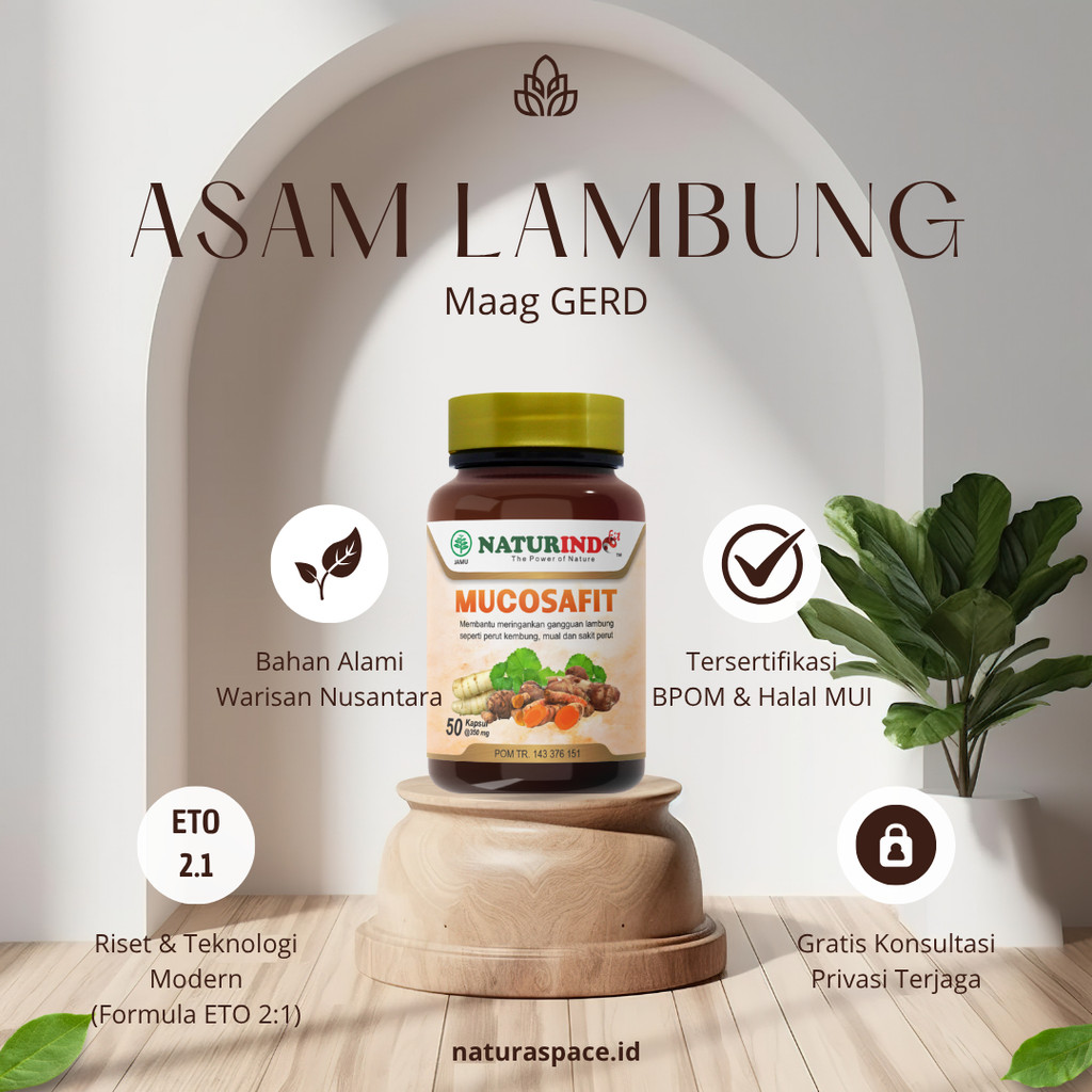 

Obat Asam Lambung Maag GERD Nyeri Ulu Hati Mual Muntah Kembung Begah Bau Mulut Herbal