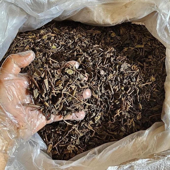 

Teh Hitam - Black Tea - Daun Teh Hitam Kering Asli dan Alami