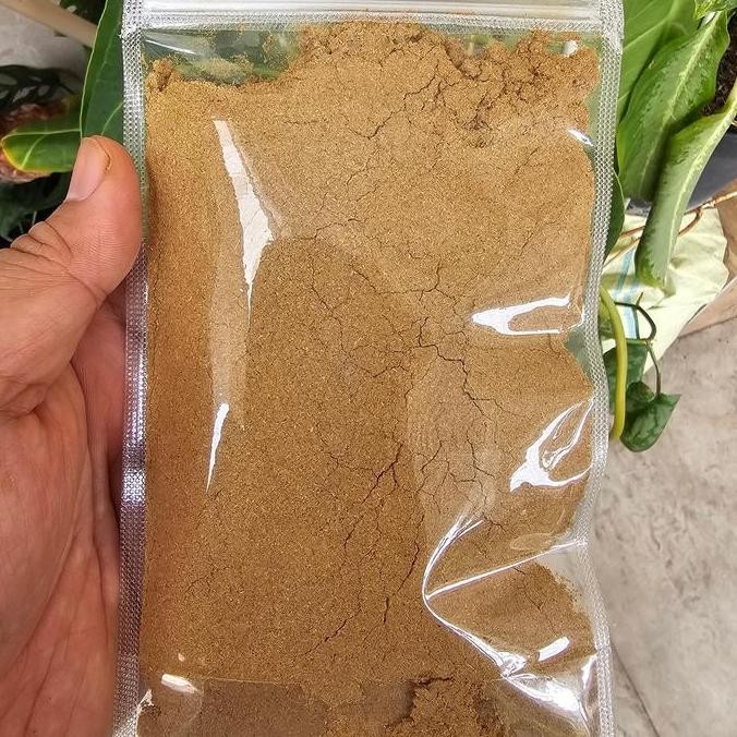 

Bubuk Jintan Masak Ori Cumin 100gr / 250gr - Bumbu Bubuk Jintan Putih