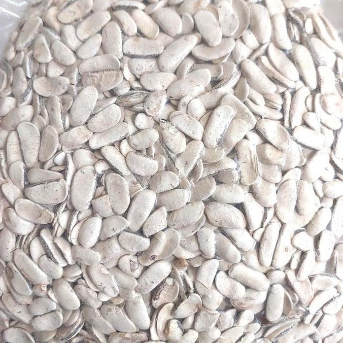 

Biji Mahoni Kupas 500 gram - Biji Buah Mahoni Kupas