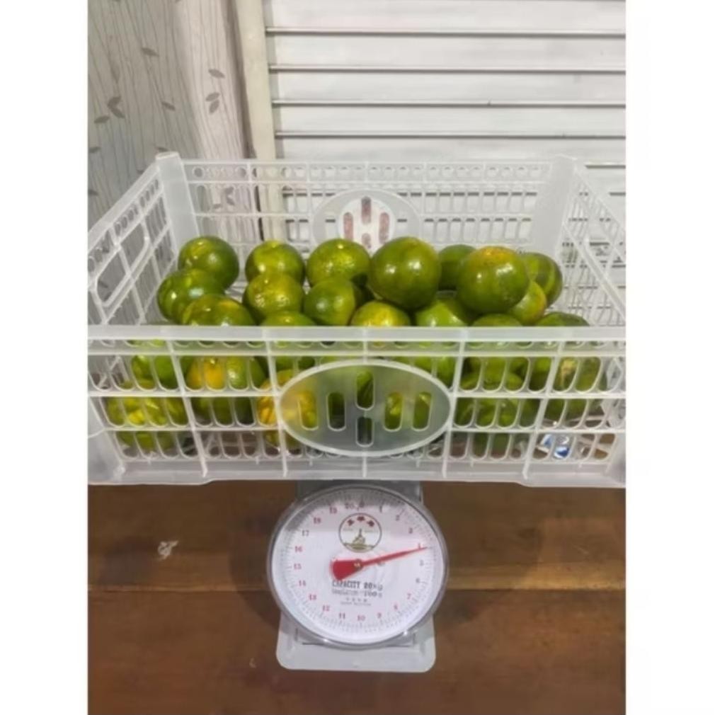 

Berkualitas Buah Jeruk Semboro 1Kg Isi 6/7 Buah Promo