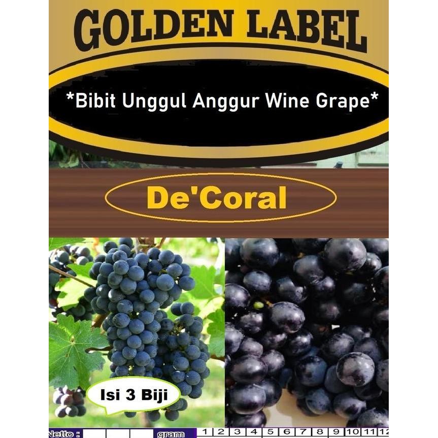 Bibit Anggur Wine Grape|Benih Anggur Wine Grape|Bibit Anggur Hitam