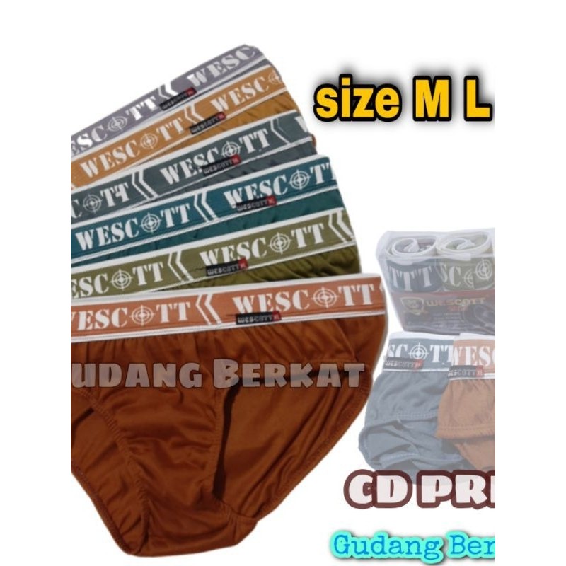 12 PCS CELANA DALAM PRIA DEWASA / CD Wescott Saga / CD Boxer Wescott Saga Gudang Berkat