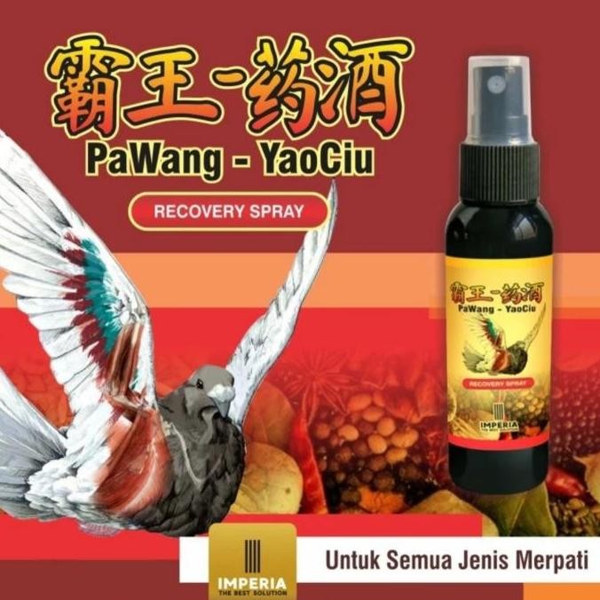 

TERBARU - PAWANG YAOCIU IMPERIA CAIRAN ARAK KOMPRES SPAY UNTUK CIDERA