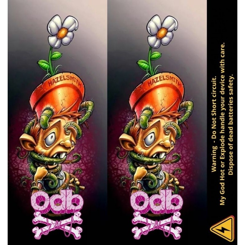 

[COD] Garskin Stiker Ambitionstore Stiker Wrap Baterai 18650 Odb Retro Art V2 Series Pelindung Dan Penghias Untuk Segala Merek 5 Label Custom Presisi Terlaris