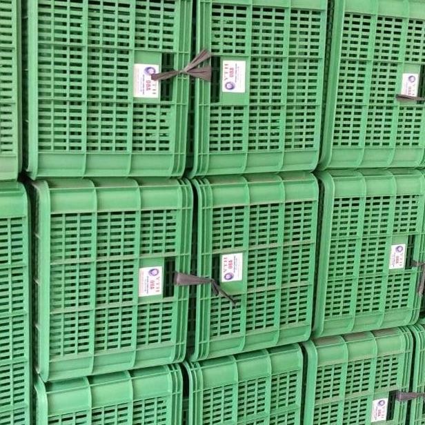 Keranjang YTH Keranjang Plastik Keranjang Industri