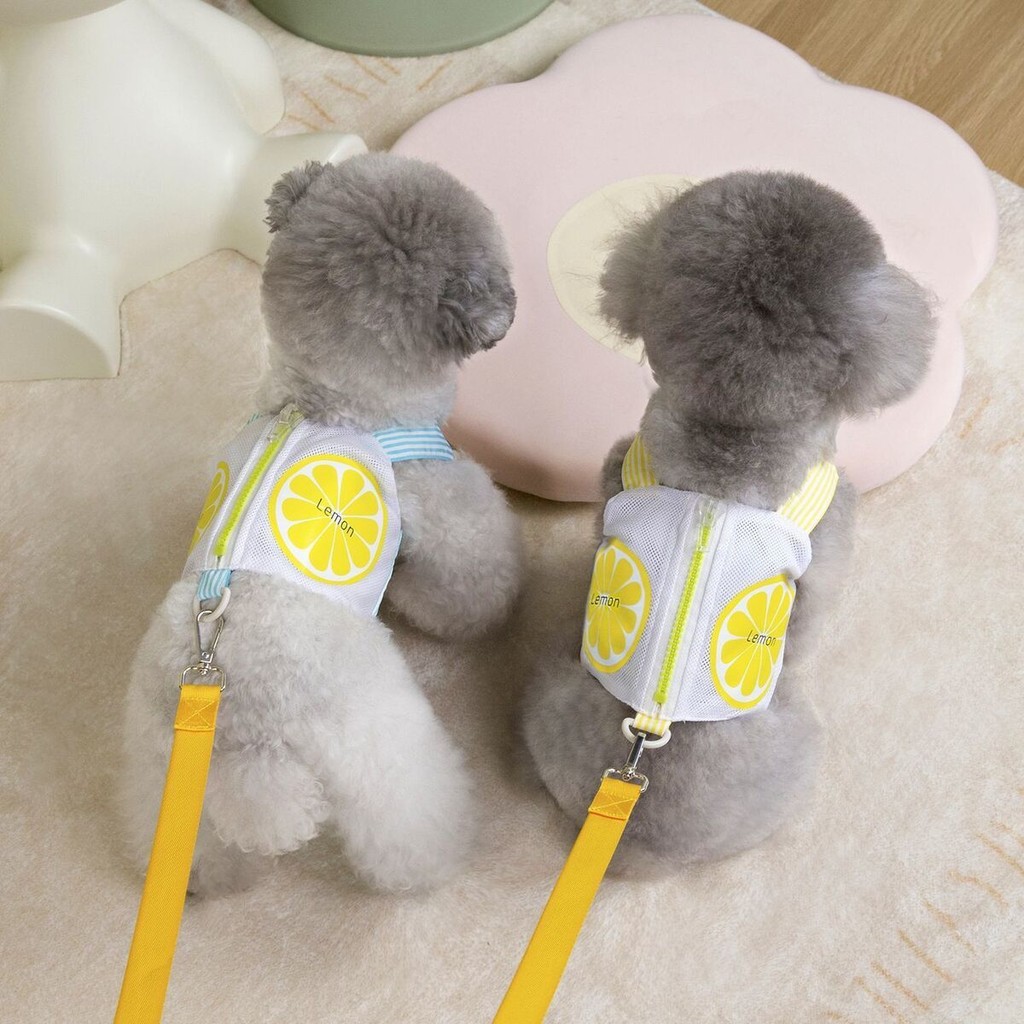 Planet Ekor COD  Tali anjing cocok untuk anjing kecil Teddy pakaian segar dan lucu