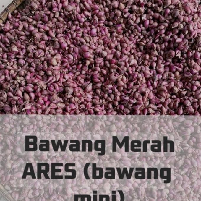 

JH8 Bumbu Bawang merah kecil 1kg umkm Pedas Masakan Kering Food