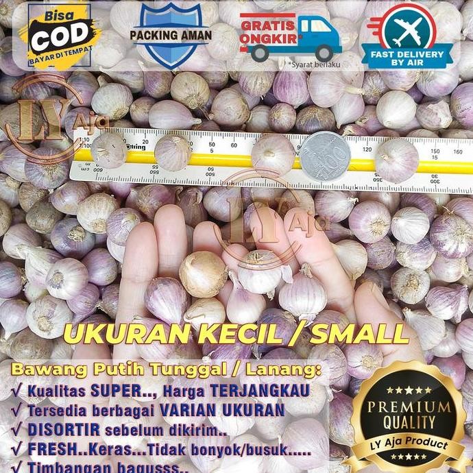 

JH8 Bawang Putih Tunggal Lanang 1 Kg 1Kg Kualitas Super LY Aja