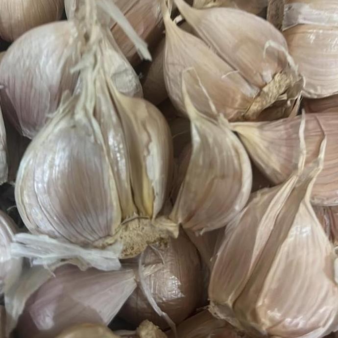 

JH8 Bawang Putih Kating 500gr 1/2Kg Baput BP Bersih Fresh Garlic - Loka Pangan