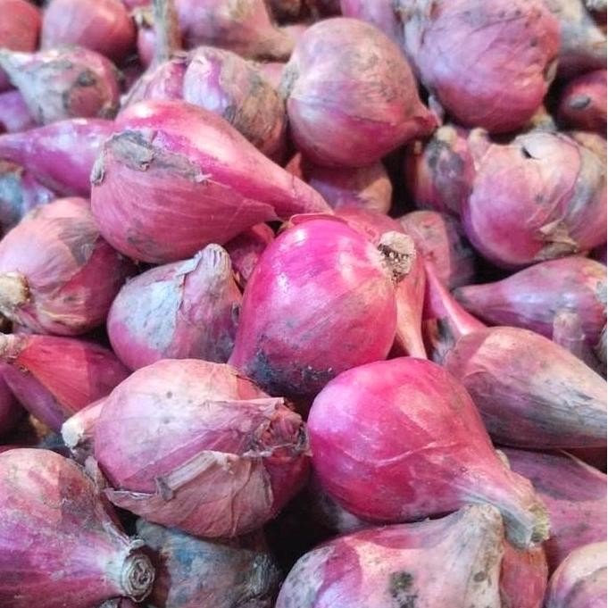 

JH8 Bawang Brebes SUPER PILIHAN besar besar hemat