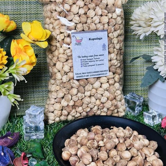 

JH8 Kapulaga Utuh Keirng 500 Gram Rempah Bu Risma