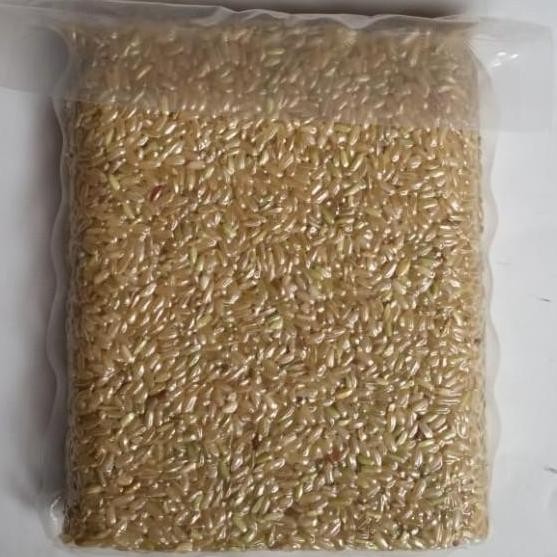 

(Expert) BERAS COKLAT ORGANIK / BERAS ORGANIK COKLAT 500 GRAM