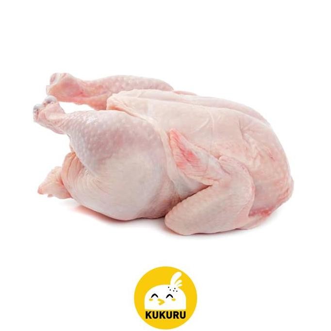 

JH8 AYAM BROILER / AYAM UTUH / KARKAS / WHOLE CHICKEN