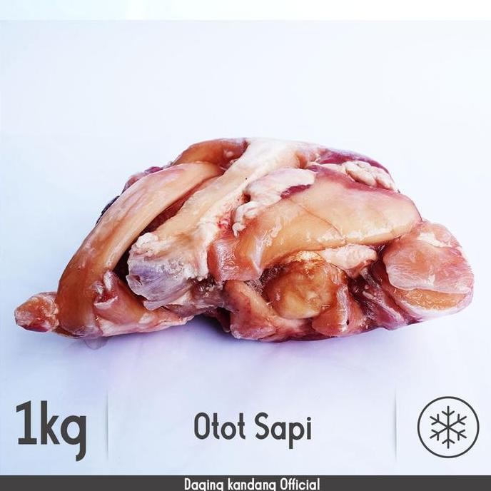 

JH8 otot / urat kaki sapi || dagingkandang