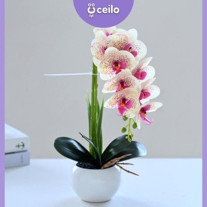 CEILO Bunga Anggrek Hias | Bunga Meja Aesthetic | Anggrek Artificial Latex | Bunga Latex Pot Keramik
