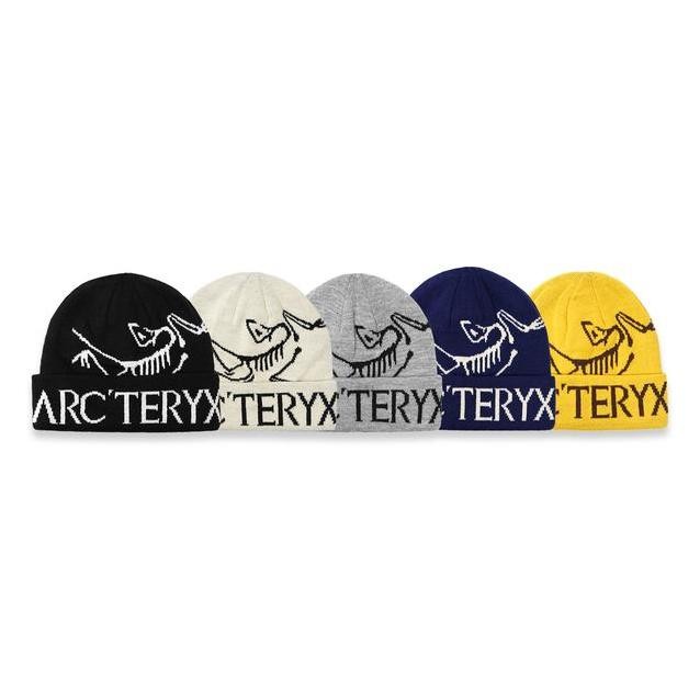 Arcteryx D Word Toque Beanie Hat